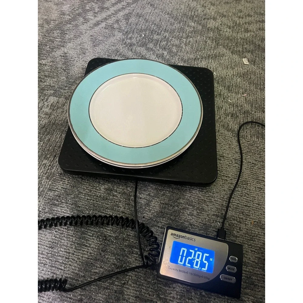 Taylor Smith & Taylor Colonial Platinum Blue Dinner Plates Set of 2 Turquoise
